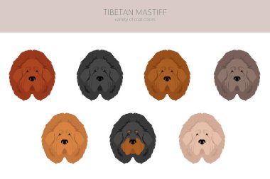 Tibet mastifi tırmanışı. Farklı pozlar, farklı renkler. Vektör illüstrasyonu
