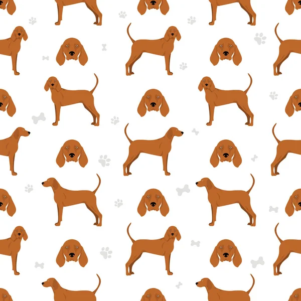 Redbone Coonhound Bezproblémový Vzor Různé Pózy Barvy Srsti Nastaveny Vektorová — Stockový vektor
