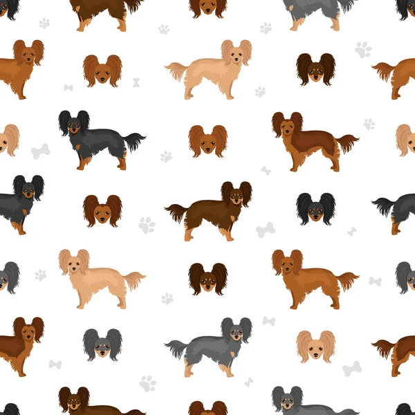 Russian Toy Terrier Longhaired Seamless Pattern Different Poses Coat Colors — Stock Vector
