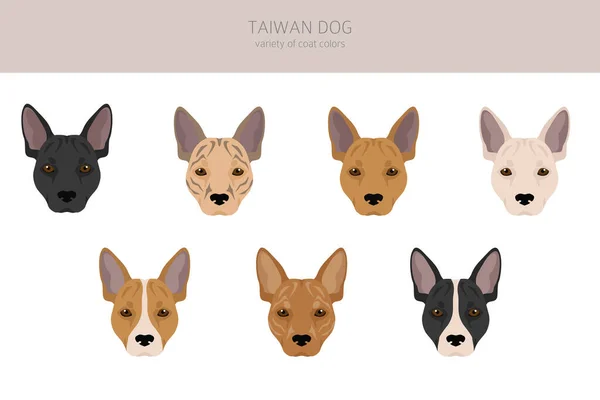 Taiwan Dog Clipart Verschiedene Posen Festgelegte Fellfarben Vektorillustration — Stockvektor