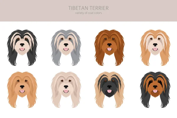 Terrier Clipart Tibetano Posate Diverse Colori Del Cappotto Impostati Illustrazione — Vettoriale Stock