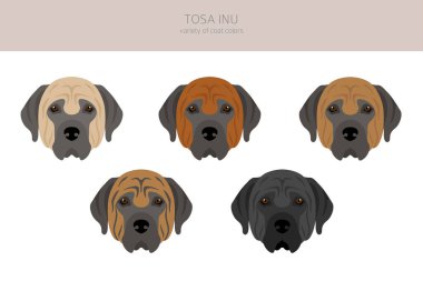 Tosa Inu clipart. Farklı pozlar, farklı renkler. Vektör illüstrasyonu