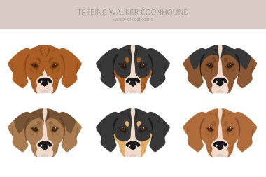 Treeing Walker rakun avcısı. Farklı pozlar, farklı renkler. Vektör illüstrasyonu