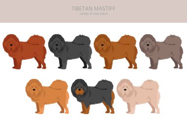 Tibet mastifi tırmanışı. Farklı pozlar, farklı renkler. Vektör illüstrasyonu