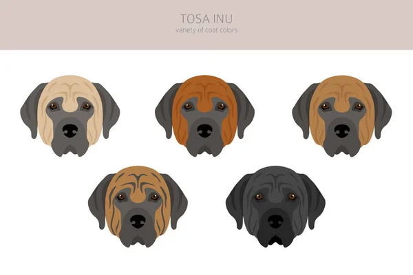 Tosa Inu Clipart Distintas Poses Colores Del Abrigo Establecidos Ilustración — Archivo Imágenes Vectoriales