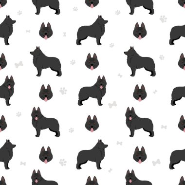 Schipperke kusursuz desen. Farklı pozlar, farklı renkler. Vektör illüstrasyonu