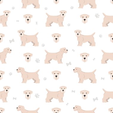 Sealyham Teriyeri 'nin kusursuz deseni. Farklı pozlar, farklı renkler. Vektör illüstrasyonu