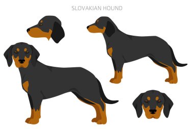 Slovak av köpeği renkleri, farklı pozlar. Vektör illüstrasyonu