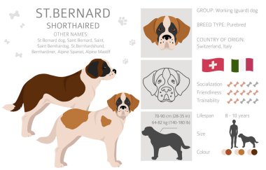 St Bernard kısa devre yaptı, farklı pozlar verdi. Vektör illüstrasyonu