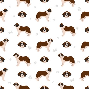 St Bernard 'ın uzun saçlı ceketinin renkleri, farklı pozlar, kusursuz desenler. Vektör illüstrasyonu