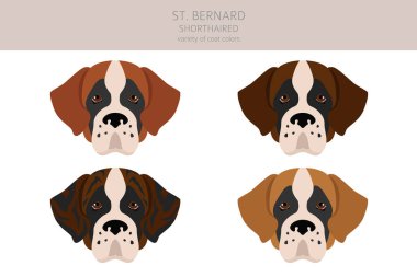 St Bernard kısa devre yaptı, farklı pozlar verdi. Vektör illüstrasyonu