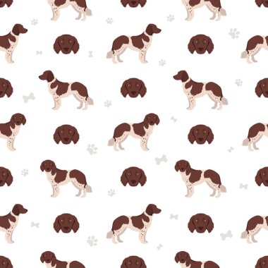 Stabyhoun ceket renkleri, farklı pozlar, kusursuz desen. Vektör illüstrasyonu