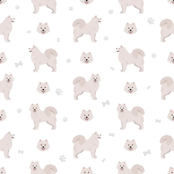 Σαμόιντ Σκυλί Χωρίς Ραφή Μοτίβο Διαφορετικές Πόζες Σετ Χρωμάτων Εικονογράφηση — Διανυσματικό Αρχείο