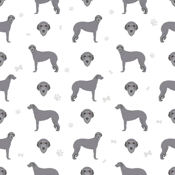 Scottish Deerhound Seamless Pattern Different Poses Coat Colors Set Vector — ストックベクタ
