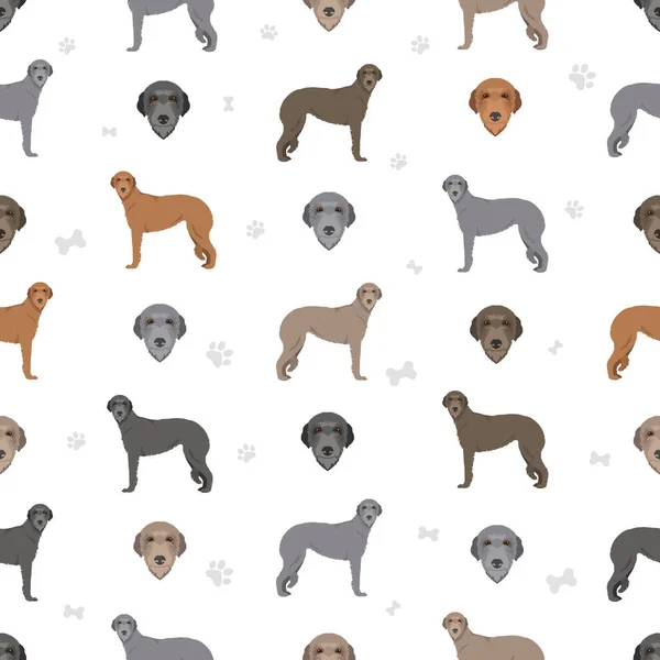 Scottish Deerhound Seamless Pattern Different Poses Coat Colors Set Vector — стоковый вектор