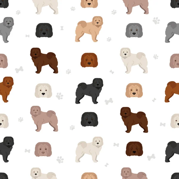 Shar Pei Bear Coat Seamless Pattern Different Poses Coat Colors — стоковый вектор