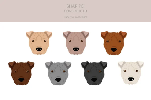 Shar Pei Bone Mouth Clipart Different Poses Coat Colors Set — стоковый вектор