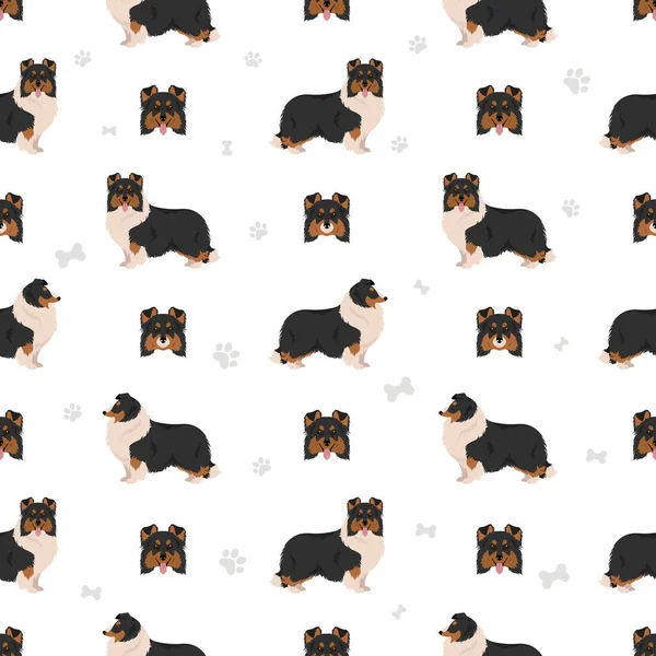 Sheltie Shetland Τσοπανόσκυλο Χωρίς Ραφή Μοτίβο Διαφορετικές Πόζες Σετ Χρωμάτων — Διανυσματικό Αρχείο