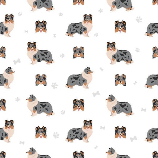 Sheltie Shetland Τσοπανόσκυλο Χωρίς Ραφή Μοτίβο Διαφορετικές Πόζες Σετ Χρωμάτων — Διανυσματικό Αρχείο