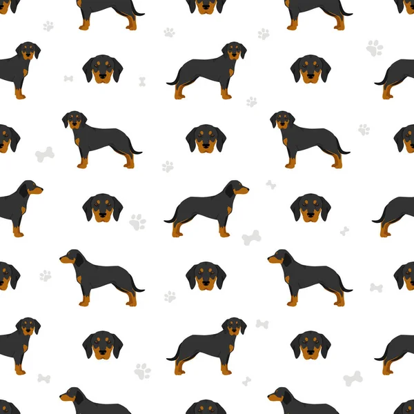Slovakian Hound Coat Colors Different Poses Seamless Pattern Vector Illustration — Vettoriale Stock