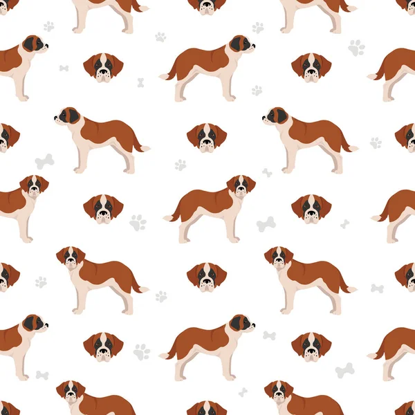 St Bernard 'ın kısa kürk rengi, farklı pozlar, kusursuz desenler. Vektör illüstrasyonu