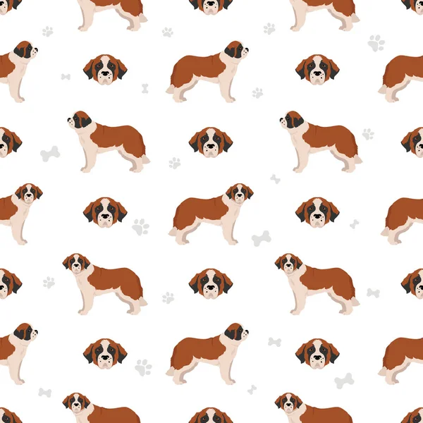 Bernard Longhaired Coat Colors Different Poses Seamless Pattern Vector Illustration — Stock Vector