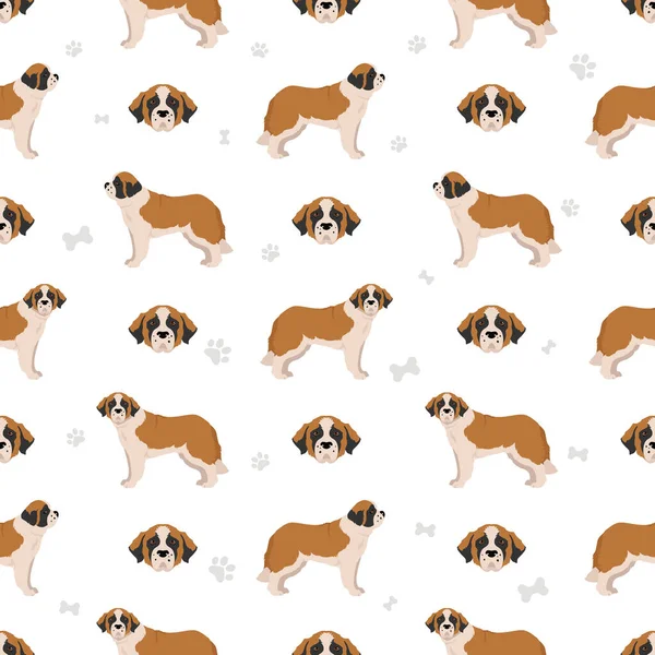 St Bernard 'ın uzun saçlı ceketinin renkleri, farklı pozlar, kusursuz desenler. Vektör illüstrasyonu