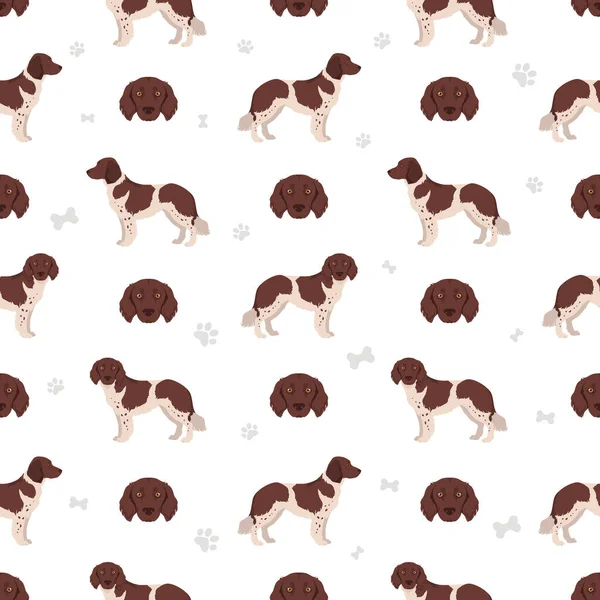 Stabyhoun ceket renkleri, farklı pozlar, kusursuz desen. Vektör illüstrasyonu