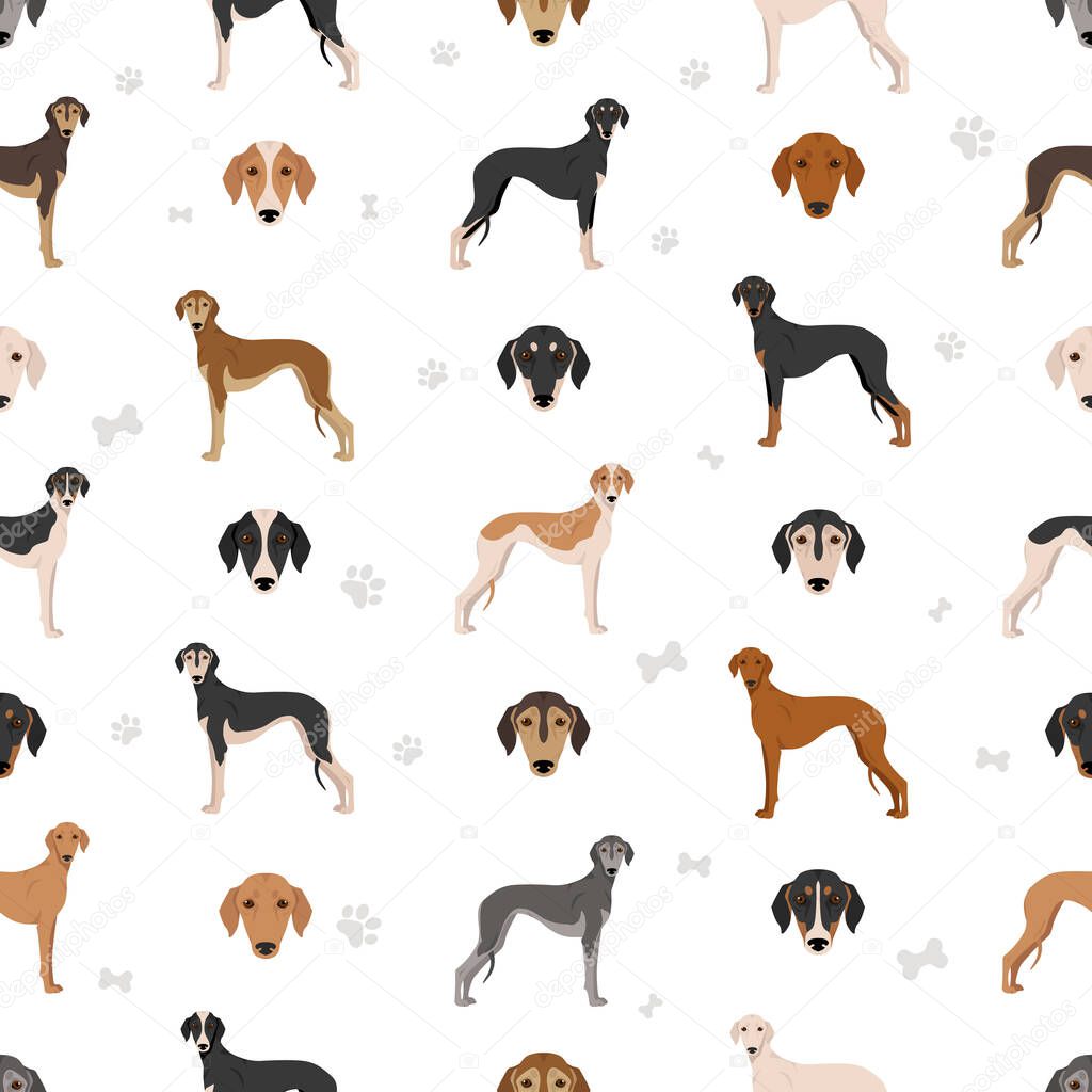 Saluki smooth coated seamless pattern. Different poses, coat colors set.  Vector illustration
