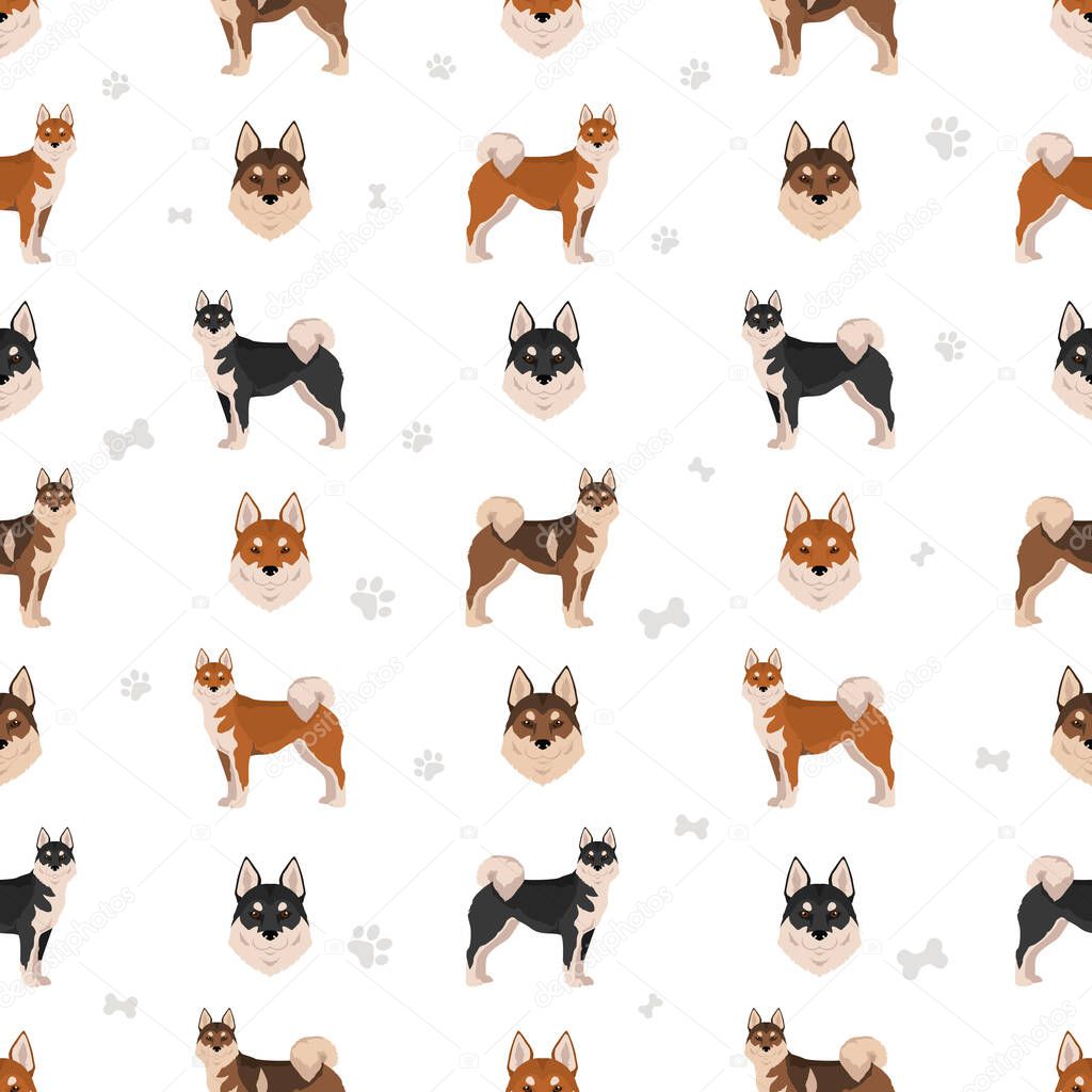 Shikoku dog coat colors, different poses seamless pattern.  Vector illustration