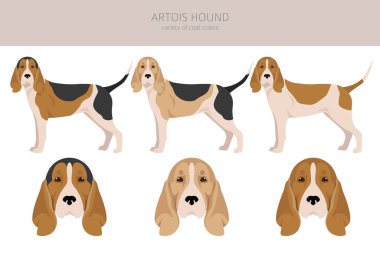 Artois av köpeği kırpması. Farklı pozlar, farklı renkler. vektör illüstrasyonu