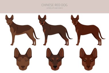 Çin Red Dog klipsi. Farklı pozlar, farklı renkler. Vektör illüstrasyonu