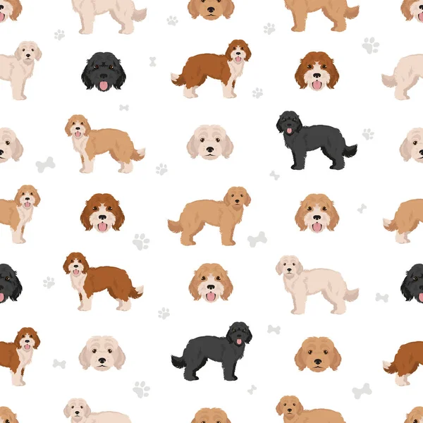 Cockapoo Seamless Pattern Different Poses Coat Colors Set Vector Illustration — Stock Vector