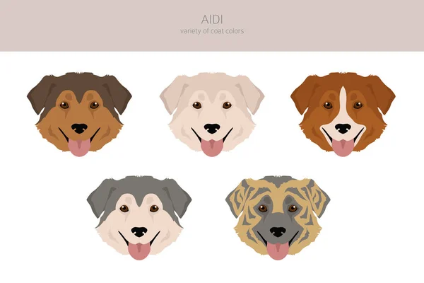 Aidi Clipart Different Poses Coat Colors Set Vector Illustration — Wektor stockowy