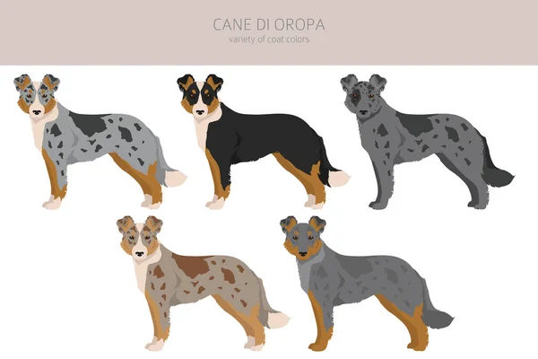 Cane Oropa Clipart Different Poses Coat Colors Set Vector Illustration — Wektor stockowy