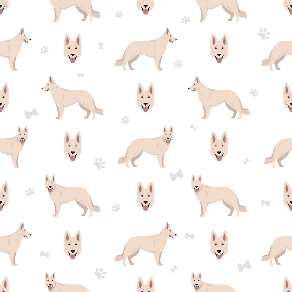 Berger Blanc Suisse Seamless Pattern Different Coat Colors Poses Set — Stockvector