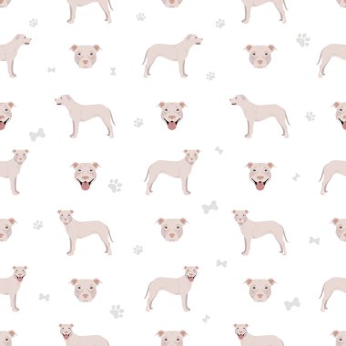 Amerikan pitbull teriyeri köpekleri kusursuz desenli. Renk çeşitleri, bilgi. Vektör illüstrasyonu