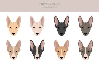 Girit av köpeği kırpması. Farklı pozlar, farklı renkler. Vektör illüstrasyonu