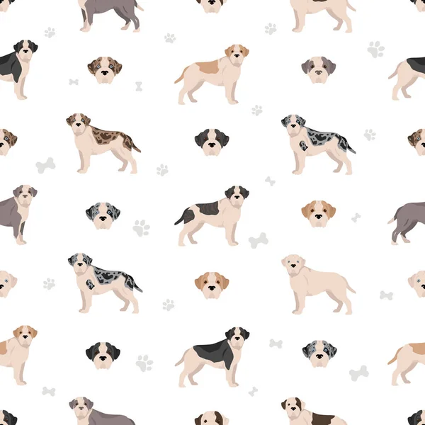 Alapaha Blue Blood Bulldog Seamless Pattern Different Poses Coat Colors — 图库矢量图片