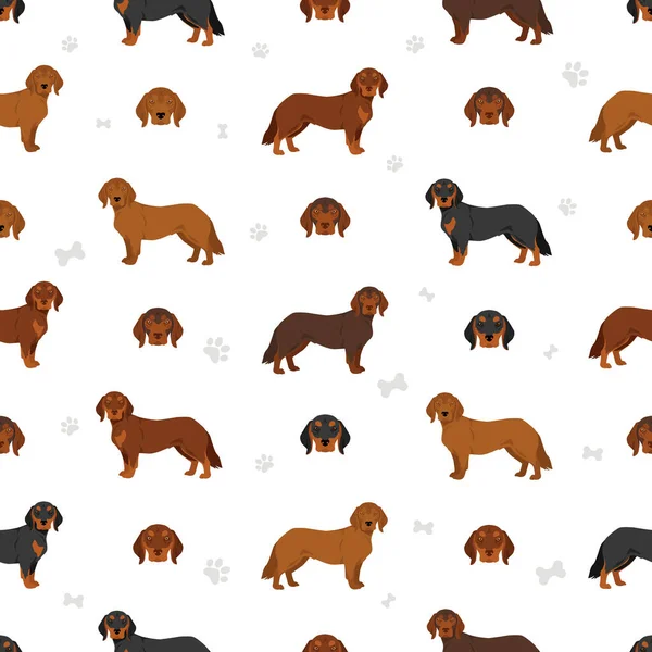 Alpine Dachsbracke Seamless Pattern Different Poses Coat Colors Set Vector — Stockvector