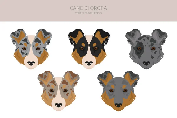 Cane Oropa Clipart Verschillende Houdingen Jas Kleuren Set Vectorillustratie — Stockvector