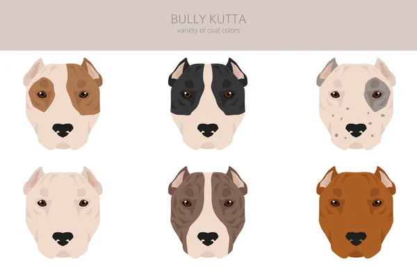 Bully Kutta Clip Verschiedene Fellfarben Und Posen Eingestellt Vektorillustration — Stockvektor