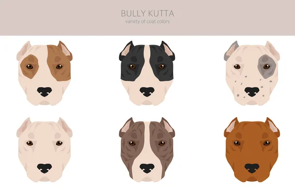 Bully Kutta Clipart 자세가 다르다 일러스트 — 스톡 벡터