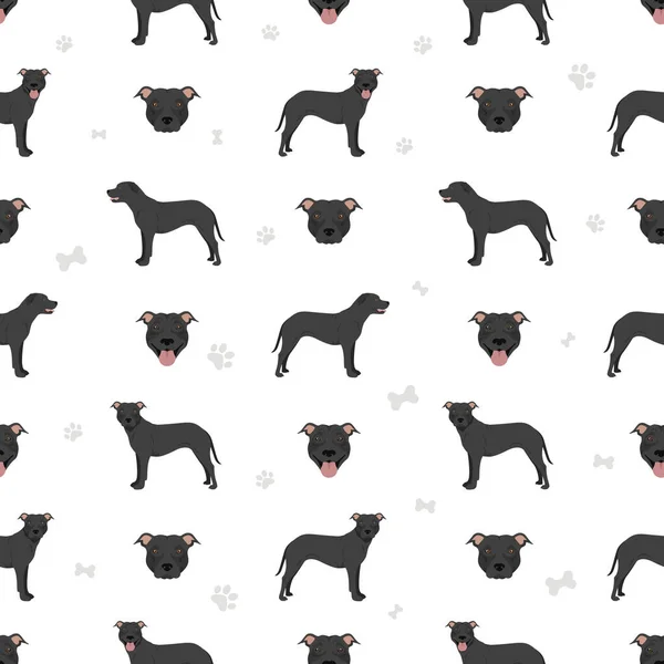 American Pit Bull Terrier Dogs Seamless Pattern Color Varieties Infographic — 스톡 벡터