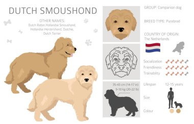 Dutch Smoushond clipart. Different poses, coat colors set.  Vector illustration