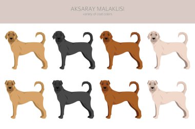 Aksaray Malaklisi clipart. Farklı pozlar, farklı renkler. Vektör illüstrasyonu