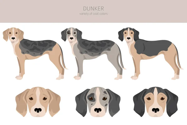 Dunker Clipart Different Poses Coat Colors Set Vector Illustration — Stok Vektör