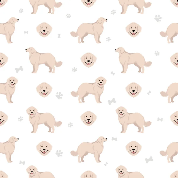 Akbash Dog Longhaired Seamless Pattern Different Poses Coat Colors Set — 스톡 벡터