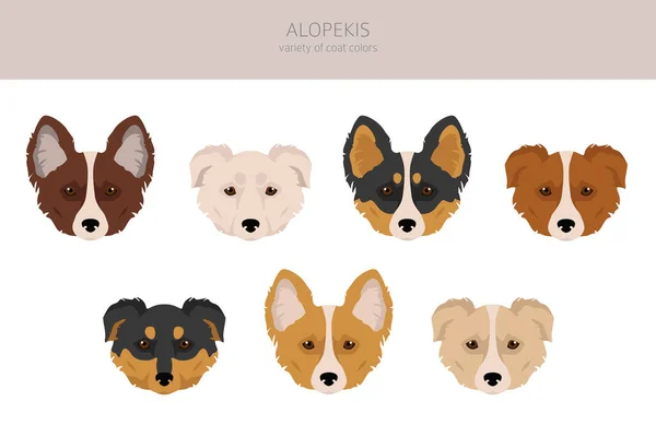 Alopekis All Colours Clipart Different Coat Colors Poses Set Vector — Stock vektor