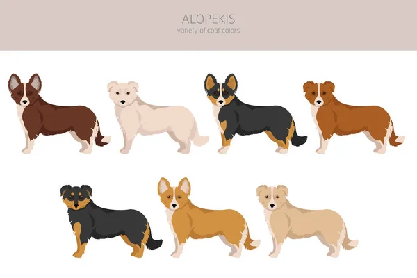 Alopekis All Colours Clipart Different Coat Colors Poses Set Vector — 图库矢量图片